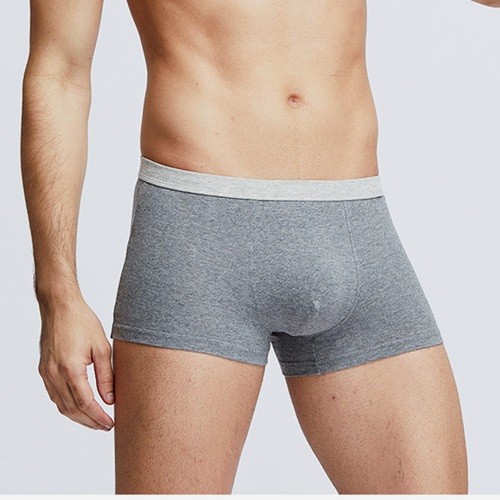 Mens Boxers Brief